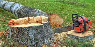 Best Firewood Processing and Delivery  in Chesterton, IN