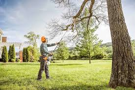 Best Leaf Removal  in Chesterton, IN