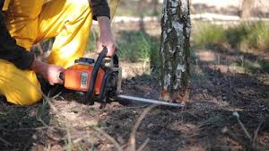 Best Lawn Irrigation Installation and Maintenance  in Chesterton, IN