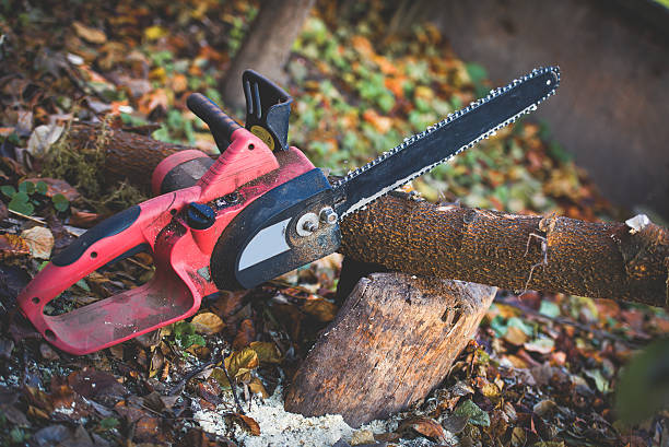 Best Lawn Maintenance Plans  in Chesterton, IN